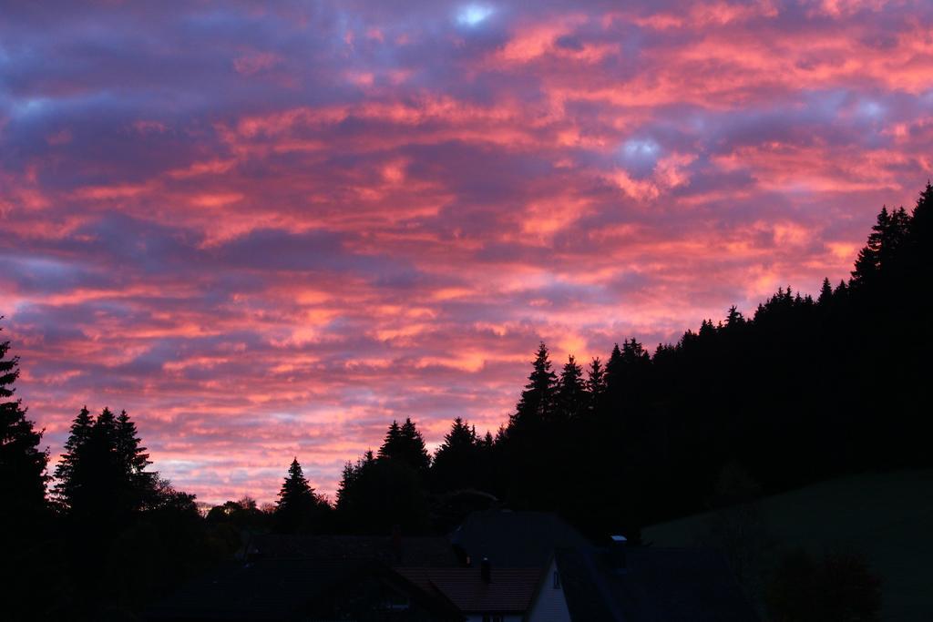 Gasthof Schwarzwaldtanne Schönwalde Dış mekan fotoğraf