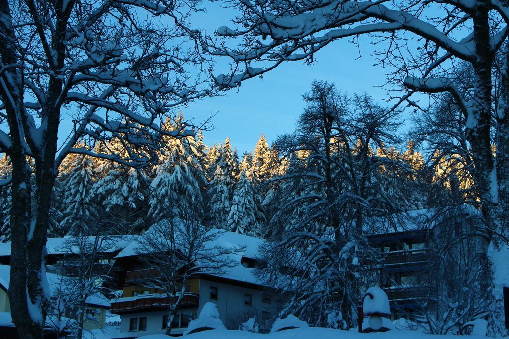 Gasthof Schwarzwaldtanne Schönwalde Dış mekan fotoğraf