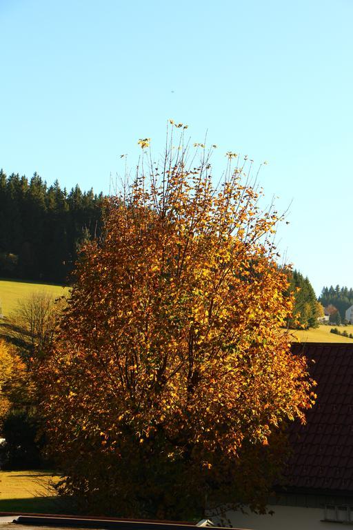 Gasthof Schwarzwaldtanne Schönwalde Dış mekan fotoğraf