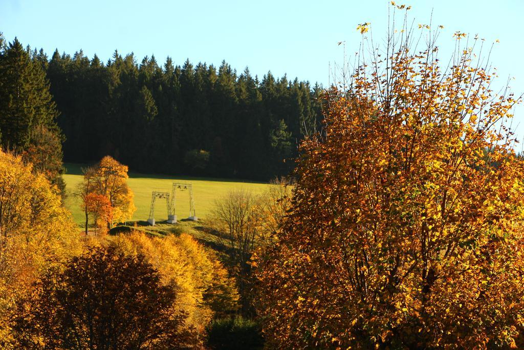 Gasthof Schwarzwaldtanne Schönwalde Dış mekan fotoğraf